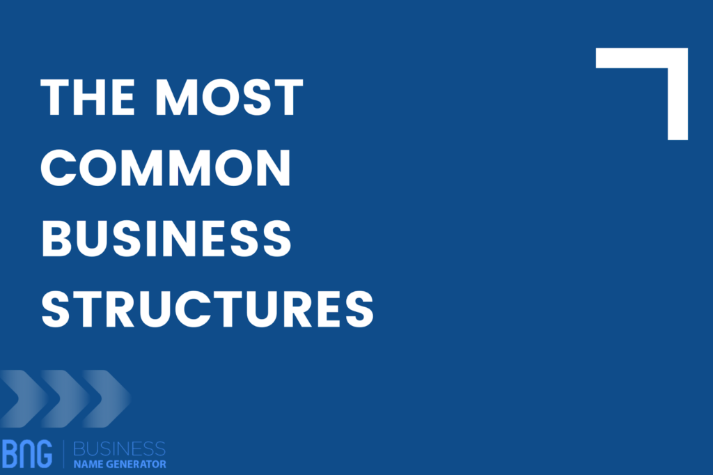 Common Business Structures