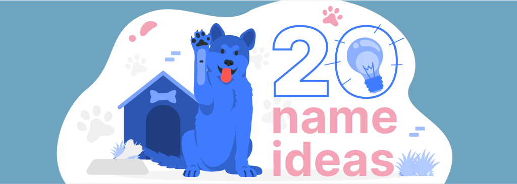 20 Dog Business Name Ideas