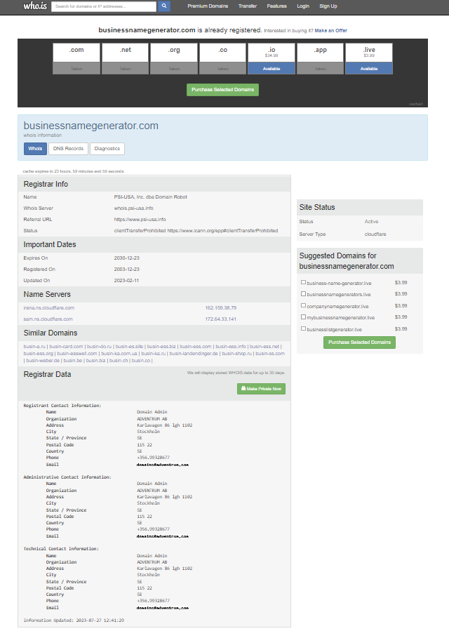 Example of a results page of registered domain name